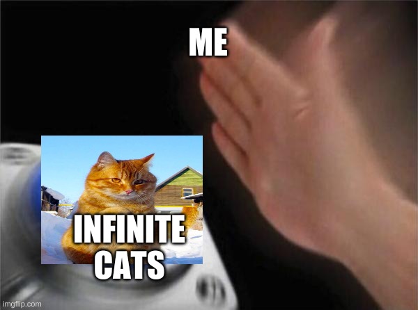 Blank Nut Button Meme | ME; INFINITE CATS | image tagged in memes,blank nut button | made w/ Imgflip meme maker