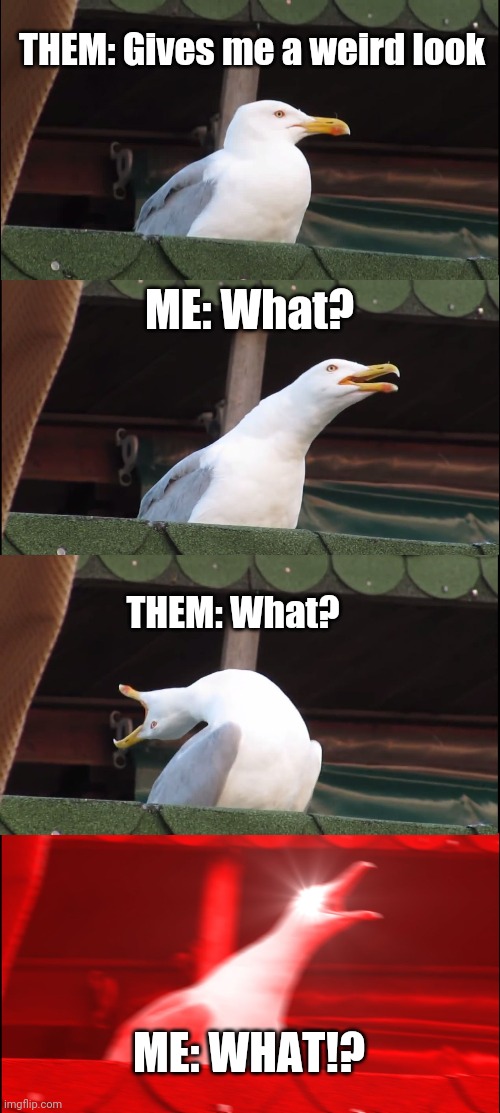 Inhaling Seagull | THEM: Gives me a weird look; ME: What? THEM: What? ME: WHAT!? | image tagged in memes,inhaling seagull,question,seagull | made w/ Imgflip meme maker