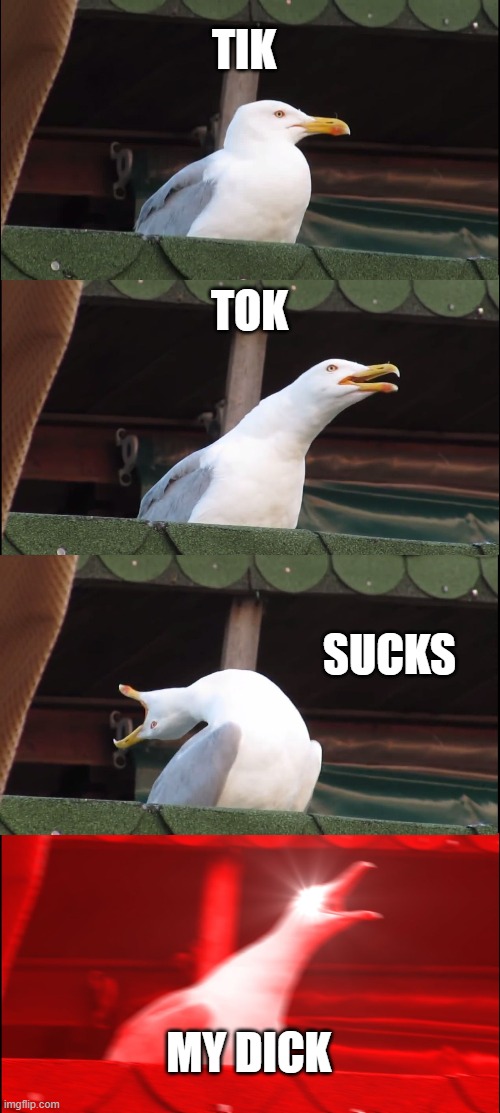 Inhaling Seagull Meme | TIK TOK SUCKS MY DICK | image tagged in memes,inhaling seagull | made w/ Imgflip meme maker