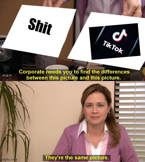 Die Tik Tok | Shit | image tagged in they are the same picture,tik tok,die | made w/ Imgflip meme maker