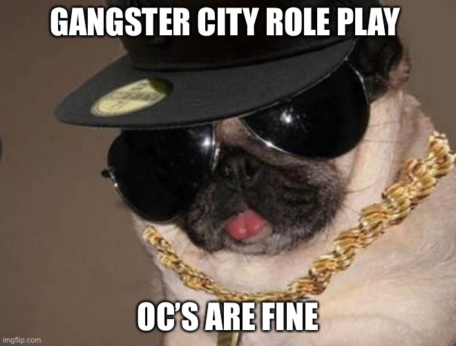 Gangasta city role play | GANGSTER CITY ROLE PLAY; OC’S ARE FINE | image tagged in gangster pug | made w/ Imgflip meme maker