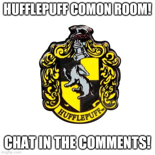 Hufflepuff | HUFFLEPUFF COMON ROOM! CHAT IN THE COMMENTS! | image tagged in hufflepuff | made w/ Imgflip meme maker
