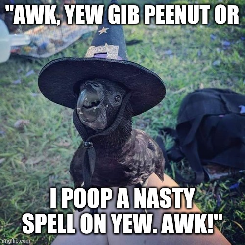 Poop Wizard | "AWK, YEW GIB PEENUT OR; I POOP A NASTY SPELL ON YEW. AWK!" | image tagged in birds,wizards,poop | made w/ Imgflip meme maker