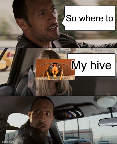 Uh oh ? |  So where to; My hive | image tagged in memes,the rock driving,murder hornet,funny | made w/ Imgflip meme maker