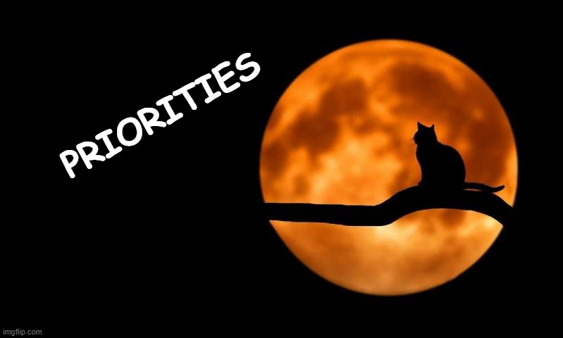moon cat opportunities | PRIORITIES | image tagged in moon cat opportunities | made w/ Imgflip meme maker