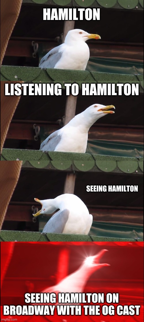 Inhailing seagull | HAMILTON; LISTENING TO HAMILTON; SEEING HAMILTON; SEEING HAMILTON ON BROADWAY WITH THE OG CAST | image tagged in memes,inhaling seagull | made w/ Imgflip meme maker