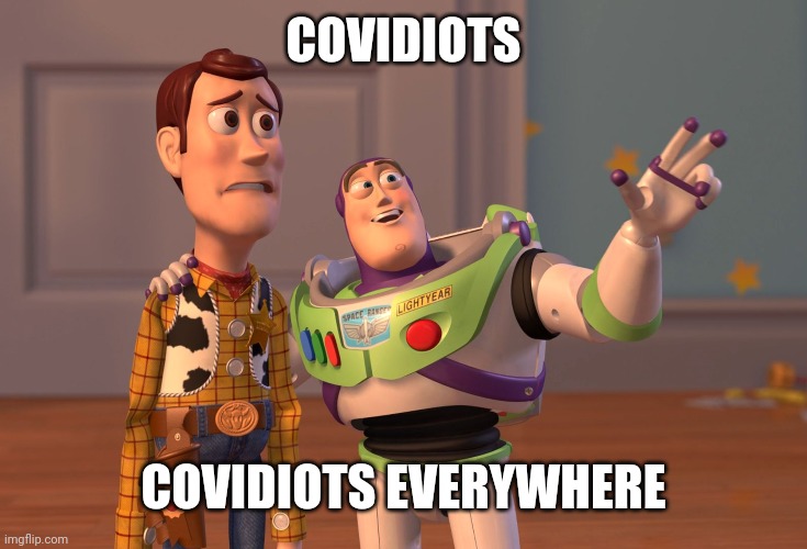 Memorial Day of the Dead | COVIDIOTS; COVIDIOTS EVERYWHERE | image tagged in memes,x x everywhere,covid | made w/ Imgflip meme maker