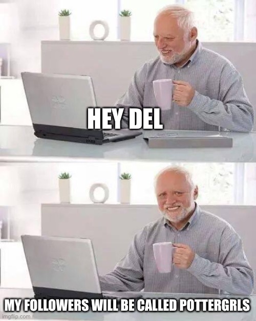 I’ve decided | HEY DEL; MY FOLLOWERS WILL BE CALLED POTTERGRLS | image tagged in memes,hide the pain harold | made w/ Imgflip meme maker