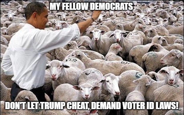 democrats | MY FELLOW DEMOCRATS; DON'T LET TRUMP CHEAT, DEMAND VOTER ID LAWS! | image tagged in democrats,politics,joe biden,barack obama,voter fraud,donald trump | made w/ Imgflip meme maker