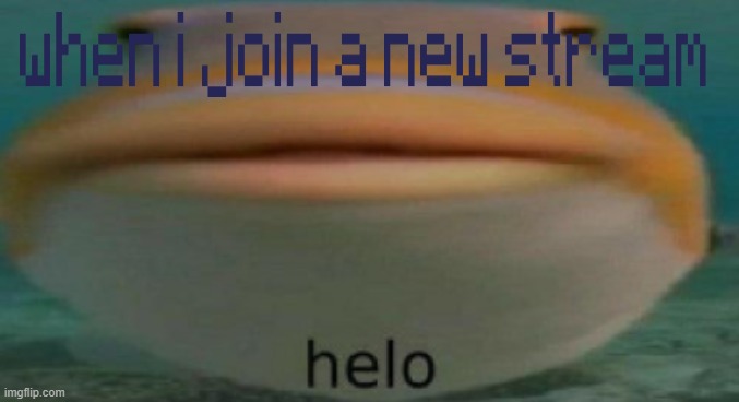helo | image tagged in helo | made w/ Imgflip meme maker