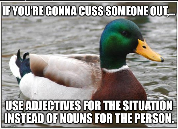 Keep your strong language civil and communicative | IF YOU’RE GONNA CUSS SOMEONE OUT,... USE ADJECTIVES FOR THE SITUATION INSTEAD OF NOUNS FOR THE PERSON. | image tagged in memes,actual advice mallard,cuss,word,angry,talking | made w/ Imgflip meme maker
