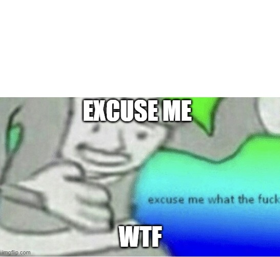 EXCUSE ME WTF | image tagged in excuse me wtf blank template | made w/ Imgflip meme maker