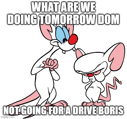 Dom and Boris | WHAT ARE WE DOING TOMORROW DOM; NOT GOING FOR A DRIVE BORIS | image tagged in coronavirus | made w/ Imgflip meme maker