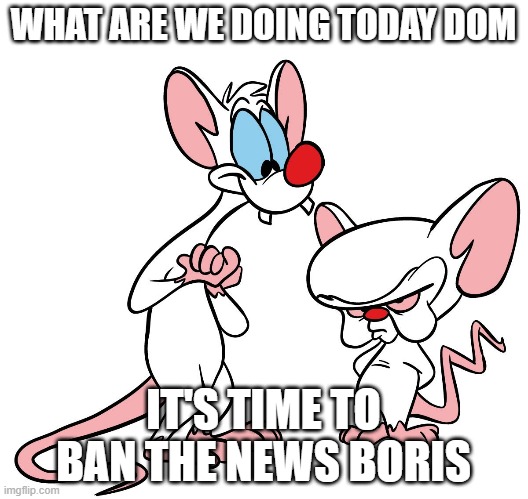 Dom and Boris take over | WHAT ARE WE DOING TODAY DOM; IT'S TIME TO BAN THE NEWS BORIS | image tagged in political meme | made w/ Imgflip meme maker