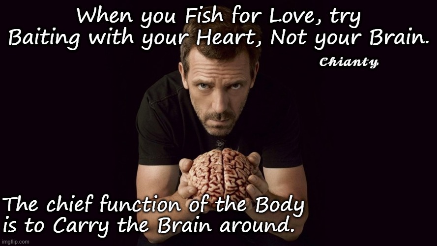 Try It | When you Fish for Love, try Baiting with your Heart, Not your Brain. 𝓒𝓱𝓲𝓪𝓷𝓽𝔂; The chief function of the Body
is to Carry the Brain around. | image tagged in brain | made w/ Imgflip meme maker