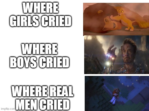 Blank White Template | WHERE GIRLS CRIED; WHERE BOYS CRIED; WHERE REAL MEN CRIED | image tagged in blank white template | made w/ Imgflip meme maker
