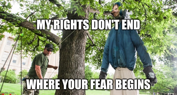 Rights | MY RIGHTS DON'T END; WHERE YOUR FEAR BEGINS | image tagged in freedom | made w/ Imgflip meme maker