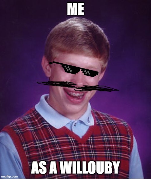 Bad luck willoughby | ME; AS A WILLOUBY | image tagged in memes,bad luck brian | made w/ Imgflip meme maker