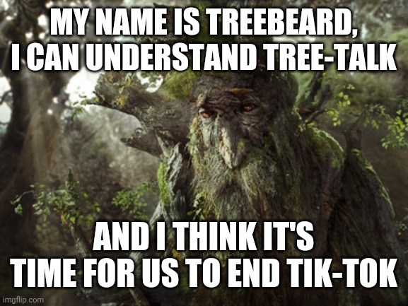 We go, we go, we go to war! To hew the stone and break the door! | MY NAME IS TREEBEARD, I CAN UNDERSTAND TREE-TALK; AND I THINK IT'S TIME FOR US TO END TIK-TOK | image tagged in treebeard | made w/ Imgflip meme maker