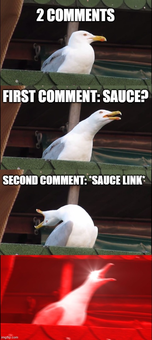 Inhaling Seagull | 2 COMMENTS; FIRST COMMENT: SAUCE? SECOND COMMENT: *SAUCE LINK* | image tagged in memes,inhaling seagull | made w/ Imgflip meme maker