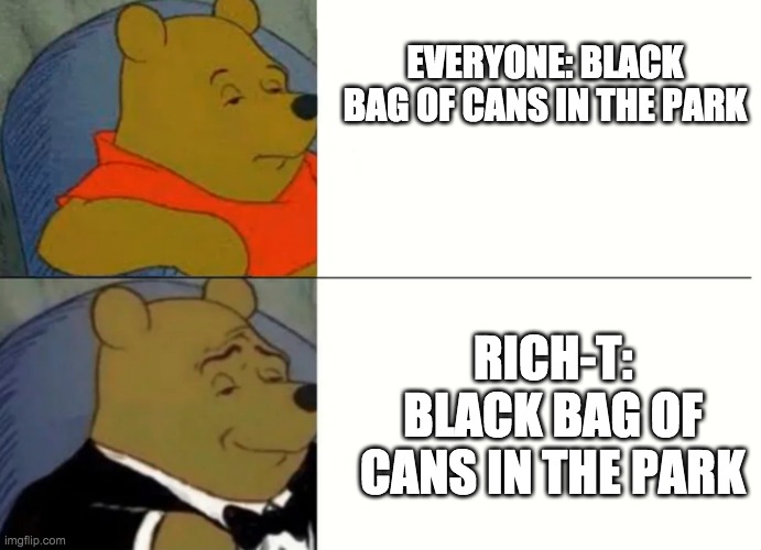Fancy Winnie The Pooh Meme |  EVERYONE: BLACK BAG OF CANS IN THE PARK; RICH-T: BLACK BAG OF CANS IN THE PARK | image tagged in fancy winnie the pooh meme | made w/ Imgflip meme maker