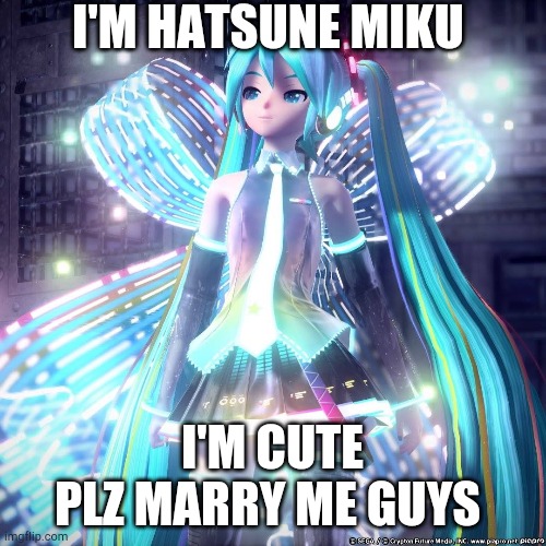 Hatsune Miku  | I'M HATSUNE MIKU; I'M CUTE
PLZ MARRY ME GUYS | image tagged in hatsune miku | made w/ Imgflip meme maker