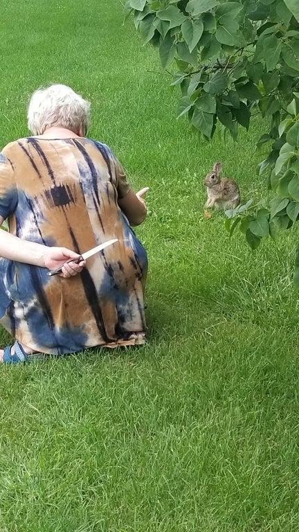 High Quality Grandma holding knife behind back while coaxing rabbit closer Blank Meme Template