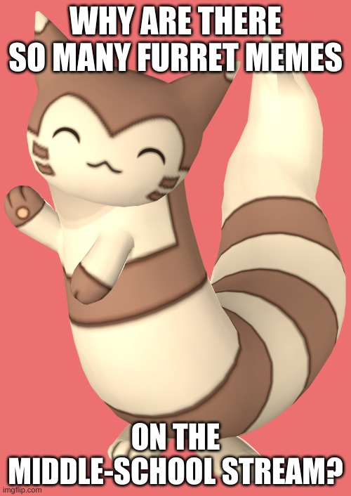 just why? | WHY ARE THERE SO MANY FURRET MEMES; ON THE MIDDLE-SCHOOL STREAM? | image tagged in furret,is,cute,i,get,it but why | made w/ Imgflip meme maker