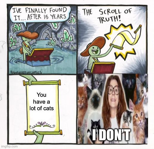 Car lover | You have a lot of cats; I DON’T | image tagged in memes,the scroll of truth | made w/ Imgflip meme maker
