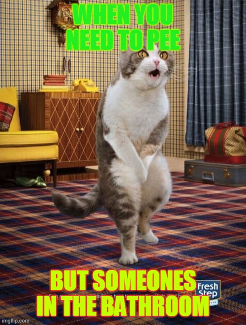 Gotta Go Cat Meme | WHEN YOU NEED TO PEE; BUT SOMEONES IN THE BATHROOM | image tagged in memes,gotta go cat | made w/ Imgflip meme maker