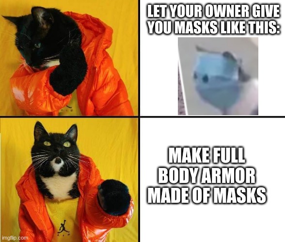 Kitty Drake | LET YOUR OWNER GIVE YOU MASKS LIKE THIS:; MAKE FULL BODY ARMOR MADE OF MASKS | image tagged in kitty drake | made w/ Imgflip meme maker