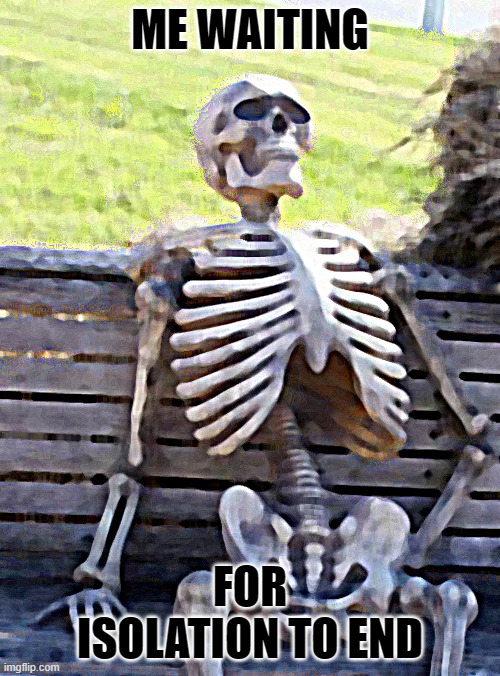 Drowning Skeleton Meme Template ~ Skeleton Chair Memes Kartristit