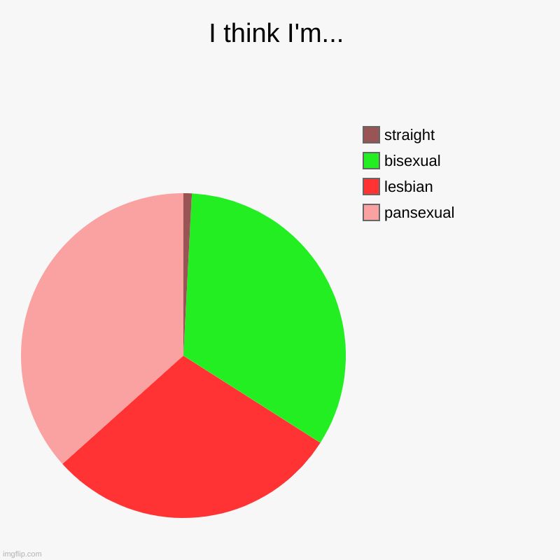 what if I'm everything | I think I'm... | pansexual, lesbian, bisexual, straight | image tagged in charts,pie charts,lgbtq | made w/ Imgflip chart maker