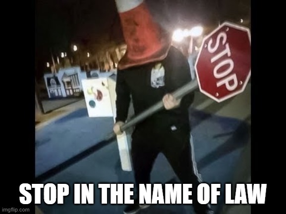 ? ? ? ? | STOP IN THE NAME OF LAW | image tagged in stop sign | made w/ Imgflip meme maker