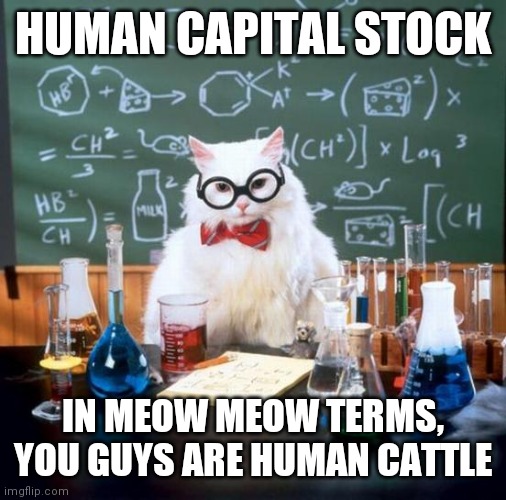Human Capital Stock | HUMAN CAPITAL STOCK; IN MEOW MEOW TERMS, YOU GUYS ARE HUMAN CATTLE | image tagged in memes,chemistry cat,politics,american politics,farm animals,smart cat | made w/ Imgflip meme maker
