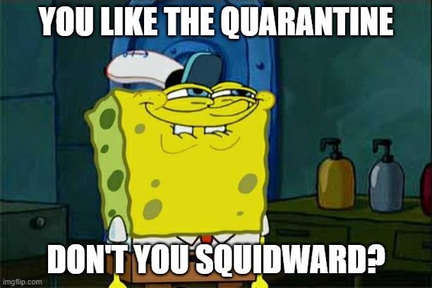Don't You Squidward Meme | YOU LIKE THE QUARANTINE; DON'T YOU SQUIDWARD? | image tagged in memes,don't you squidward | made w/ Imgflip meme maker