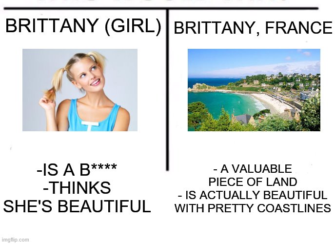 Know the difference. | BRITTANY, FRANCE; BRITTANY (GIRL); -IS A B****
-THINKS SHE'S BEAUTIFUL; - A VALUABLE PIECE OF LAND
- IS ACTUALLY BEAUTIFUL WITH PRETTY COASTLINES | image tagged in comparison table,memes | made w/ Imgflip meme maker