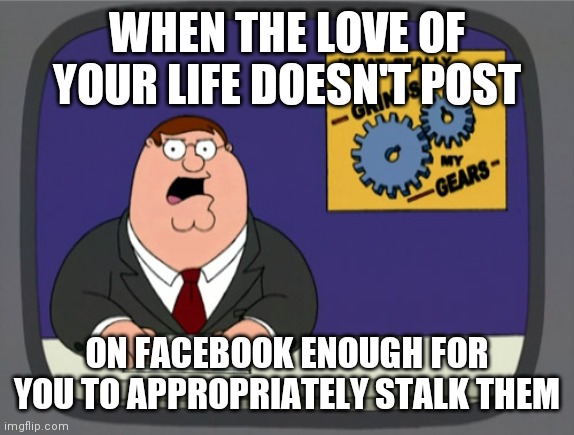 Love of your life | WHEN THE LOVE OF YOUR LIFE DOESN'T POST; ON FACEBOOK ENOUGH FOR YOU TO APPROPRIATELY STALK THEM | image tagged in memes,peter griffin news | made w/ Imgflip meme maker
