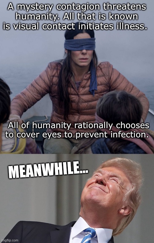 Idiot Prime: lord of all that is stupid | A mystery contagion threatens humanity. All that is known is visual contact initiates illness. All of humanity rationally chooses to cover eyes to prevent infection. MEANWHILE... | image tagged in memes,bird box,maga,coronavirus,masks,sociopath | made w/ Imgflip meme maker