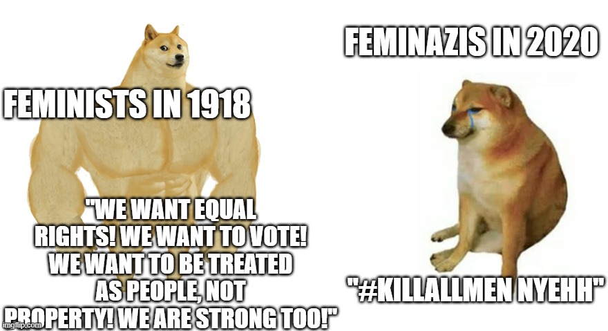 Buff Doge vs Crying Cheems | FEMINAZIS IN 2020; FEMINISTS IN 1918; "WE WANT EQUAL RIGHTS! WE WANT TO VOTE! WE WANT TO BE TREATED AS PEOPLE, NOT PROPERTY! WE ARE STRONG TOO!"; "#KILLALLMEN NYEHH" | image tagged in buff doge vs crying cheems | made w/ Imgflip meme maker
