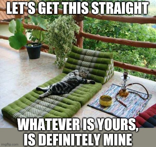 THAT CAT IS LIVING THE LIFE | LET'S GET THIS STRAIGHT; WHATEVER IS YOURS, IS DEFINITELY MINE | image tagged in cats,funny cats | made w/ Imgflip meme maker