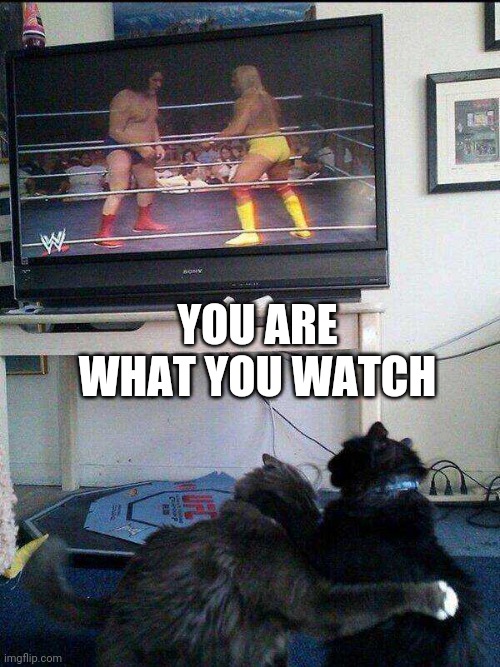 WRESTLE CATS | YOU ARE WHAT YOU WATCH | image tagged in cats,funny cats | made w/ Imgflip meme maker