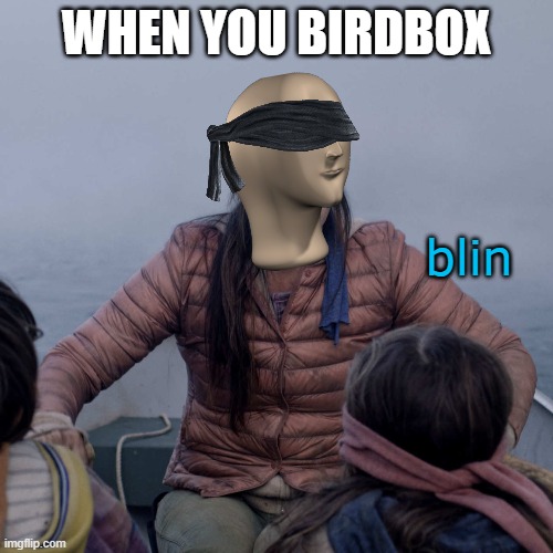 Nobody should Birdbox | WHEN YOU BIRDBOX; blin | image tagged in memes,bird box,blind,meme man | made w/ Imgflip meme maker