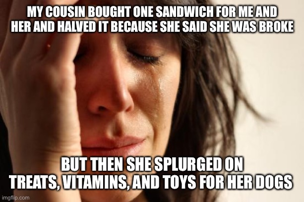 First World Problems Meme | MY COUSIN BOUGHT ONE SANDWICH FOR ME AND HER AND HALVED IT BECAUSE SHE SAID SHE WAS BROKE; BUT THEN SHE SPLURGED ON TREATS, VITAMINS, AND TOYS FOR HER DOGS | image tagged in memes,first world problems | made w/ Imgflip meme maker