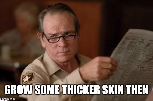 no country for old men tommy lee jones | GROW SOME THICKER SKIN THEN | image tagged in no country for old men tommy lee jones | made w/ Imgflip meme maker