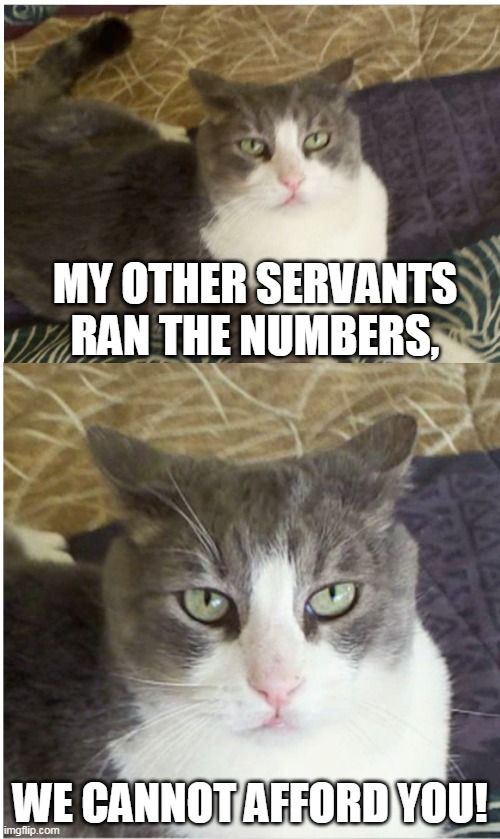 Spotula is making budget Slaps. | MY OTHER SERVANTS RAN THE NUMBERS, WE CANNOT AFFORD YOU! | image tagged in vlad slapese spotula | made w/ Imgflip meme maker