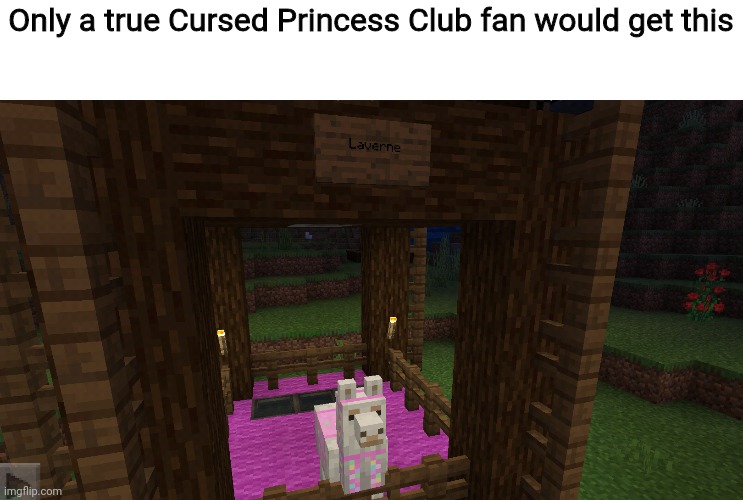 The Most Pampered Llama | Only a true Cursed Princess Club fan would get this | image tagged in minecraft,llama | made w/ Imgflip meme maker