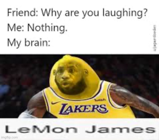 Lemon james | image tagged in fun | made w/ Imgflip meme maker