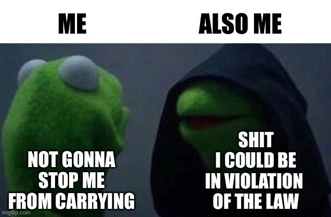 Me and also me | ME                         ALSO ME NOT GONNA STOP ME
 FROM CARRYING SHIT
I COULD BE
IN VIOLATION 
OF THE LAW | image tagged in me and also me | made w/ Imgflip meme maker