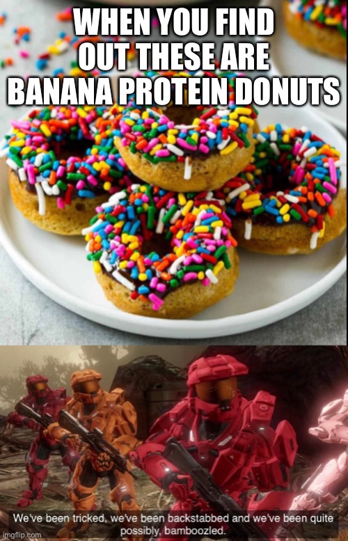 WHEN YOU FIND OUT THESE ARE BANANA PROTEIN DONUTS | image tagged in we have ben bamboozled halo | made w/ Imgflip meme maker
